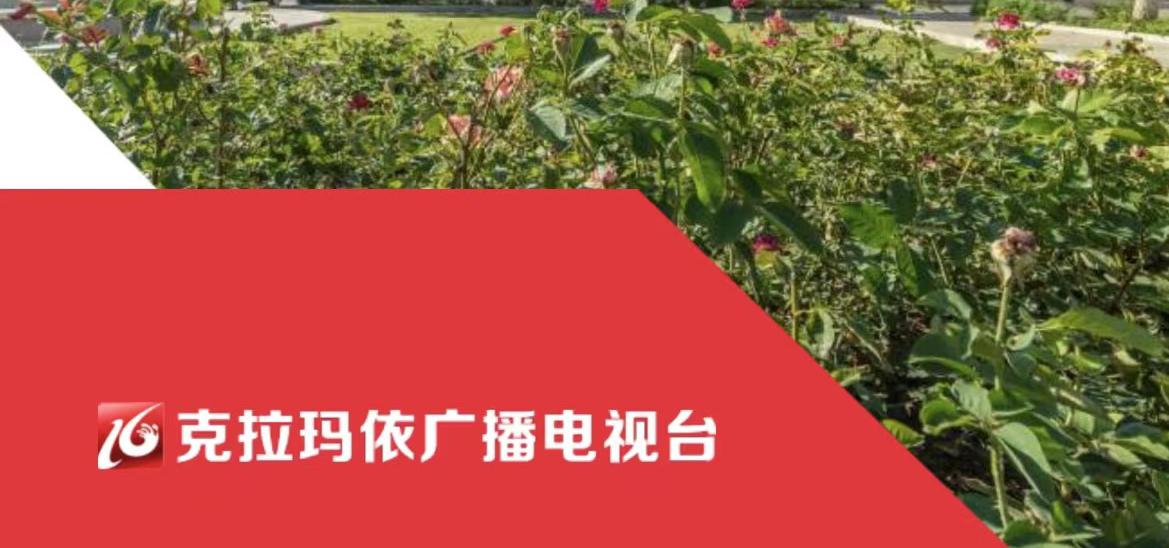 克拉瑪依廣播電視臺社會責(zé)任報告（2021年度）